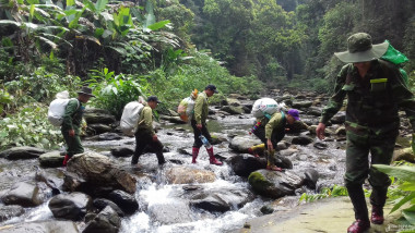 UBND tỉnh Nghệ An thông qua đề nghị xây dựng Nghị quyết HĐND tỉnh hỗ trợ kinh phí cho lực lượng chuyên trách bảo vệ rừng