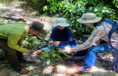 Trạm quản lý bảo vệ rừng Bình Chuẩn – Con Cuông