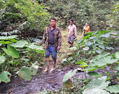 Công tác tuần tra kiểm tra bảo vệ rừng và thực hiện nhiệm vụ về Lâm nghiệp của trạm QLBVR Nam Sơn - Huyện Quỳ Hợp