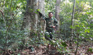 Công tác quản lý bảo vệ rừng trạm Bình Chuẩn – huyện Con Cuông
