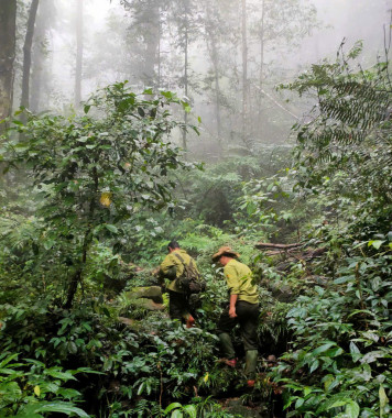 Những người gác rừng không biết mệt mỏi: Kết quả năm 2025 nhờ chiến lược tuần tra bảo vệ rừng’“sát sườn” tại trạm Quản lý bảo vệ rừng Cắm Muộn, xã Mường Quàng