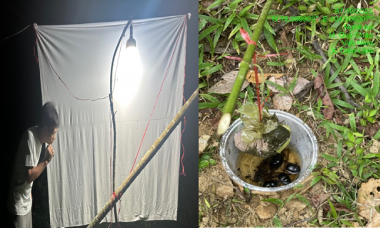 Điều tra đa dạng côn trùng cánh cứng tại Khu Bảo tồn thiên nhiên Pù Huống: Cơ sở khoa học cho công tác bảo tồn đa dạng sinh học