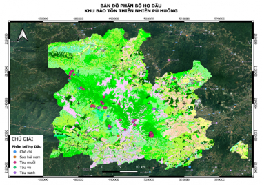 Điều tra thành phần loài, phân bố và đề xuất giải pháp bảo tồn các loài thực vật Họ Dầu (Dipterocarpaceae) tại Khu bảo tồn thiên nhiên Pù Huống.