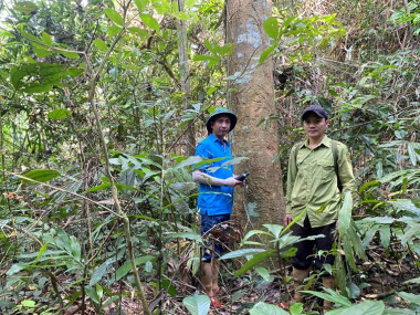 Kết quả thực hiện  chương trình: Giám sát đa đạng sinh học đối với một số loài thực vật quý hiếm tại Khu BTTN Pù Huống, tỉnh Nghệ An