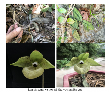 Kết quả giám sát đa dạng sinh học tại Khu BTTN Pù Huống