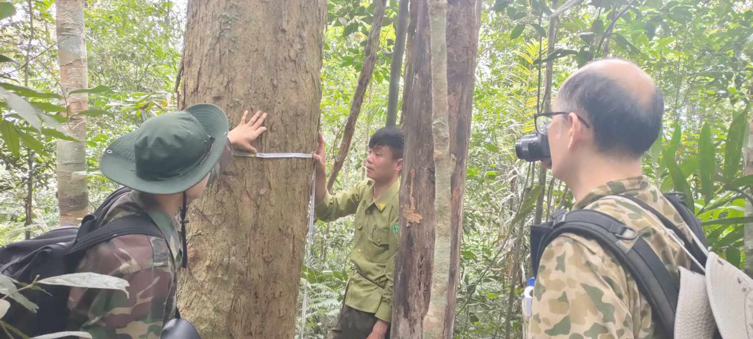 z7300540951395 f35414fc275a3241bd33e7dedb3da5da