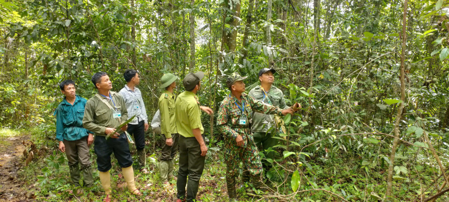 z7300541401783 b1dfd1fdb41b9e207d7850269fa71d04