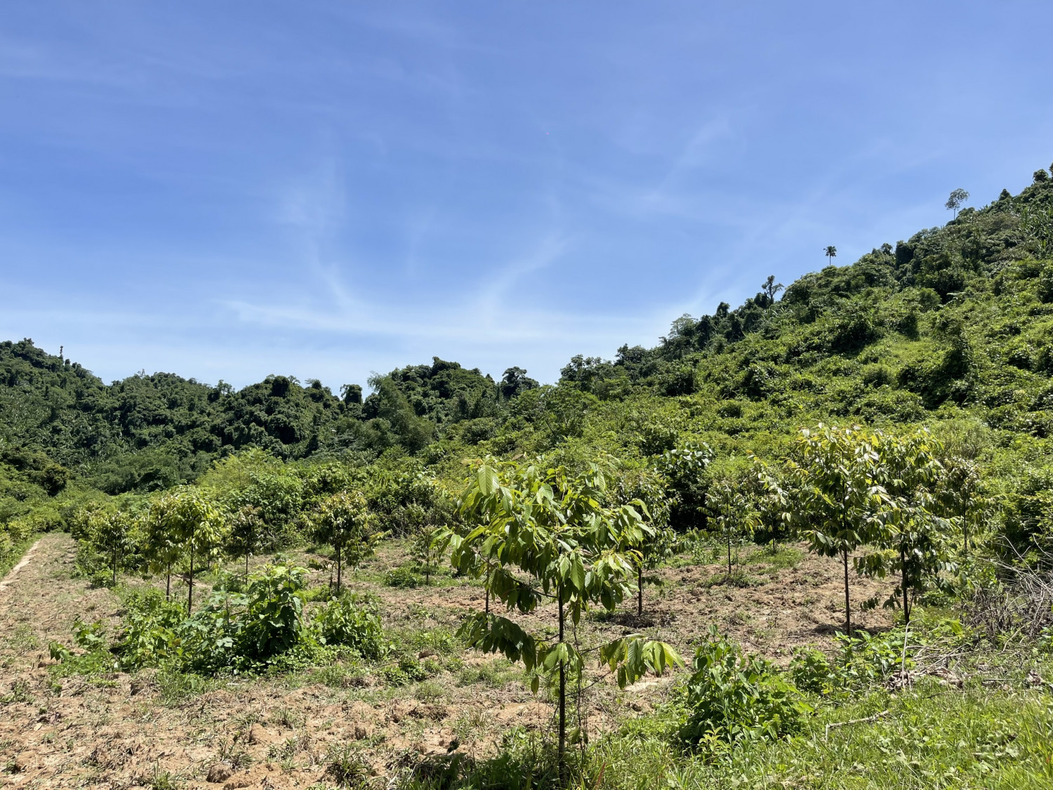 z7301894630605 ef328a237741dca744e6848dedc7ca2a