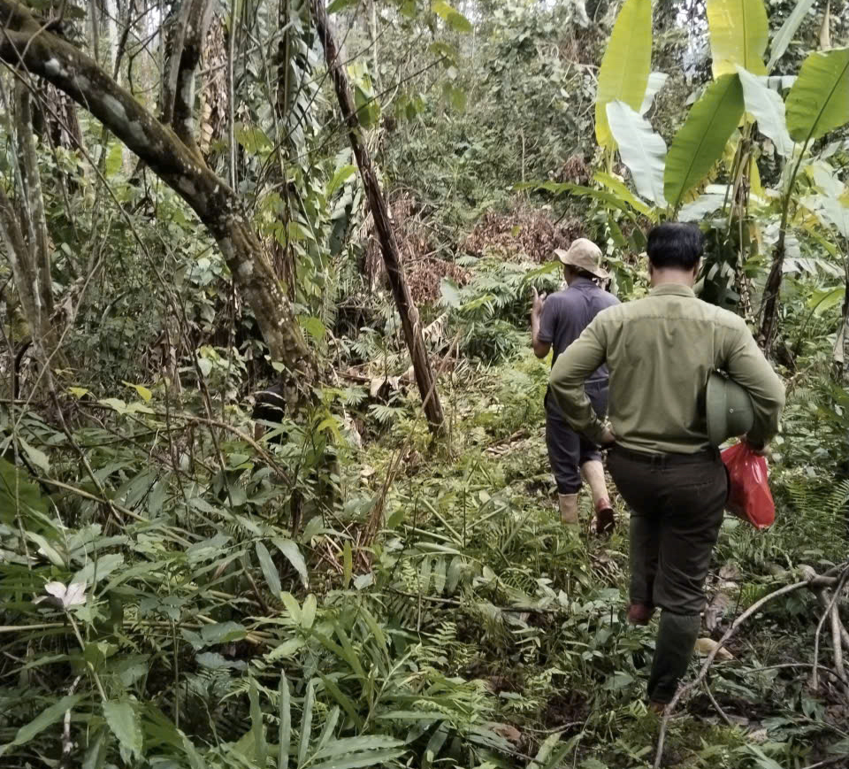 z7325352126995 afa09a7ee78095902be8cde04b6bde4e