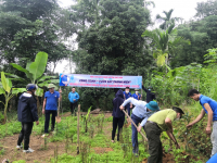 Tặng và trồng cây cho các hộ gia đính chính sách  xã Châu Thái